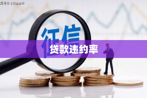 贵德贷款违约率