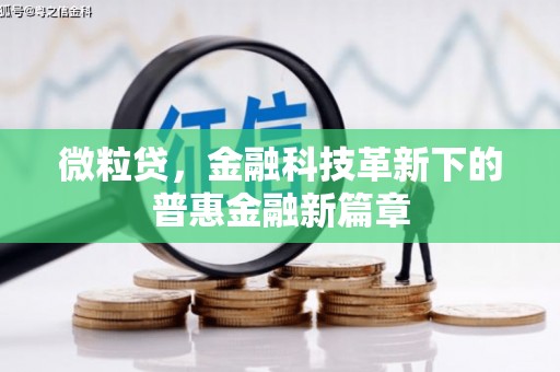 贵德微粒贷，金融科技革新下的普惠金融新篇章