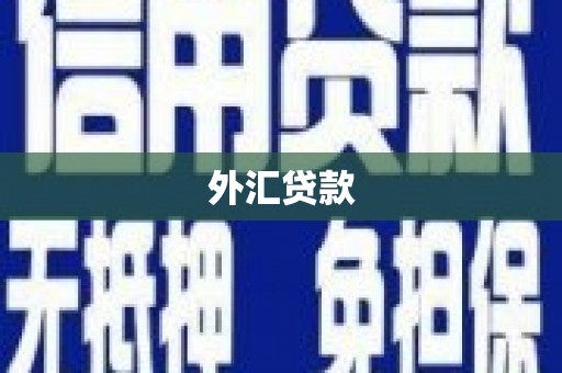 贵德外汇贷款