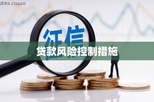 贵德贷款风险控制措施