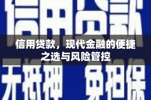 贵德信用贷款，现代金融的便捷之选与风险管控