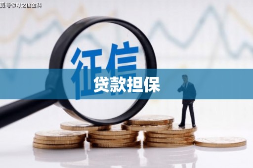贵德贷款担保