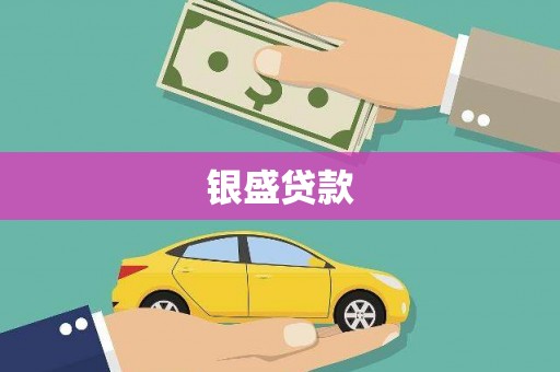 贵德银盛贷款