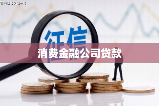 贵德消费金融公司贷款