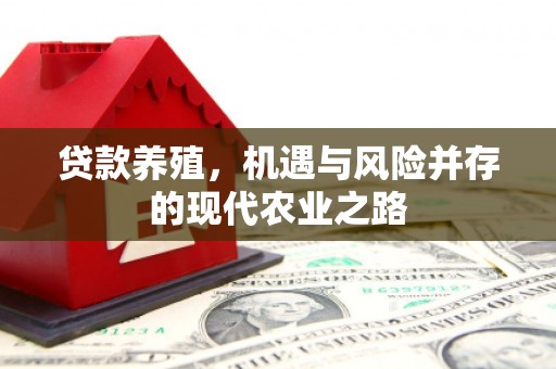 贵德贷款养殖，机遇与风险并存的现代农业之路