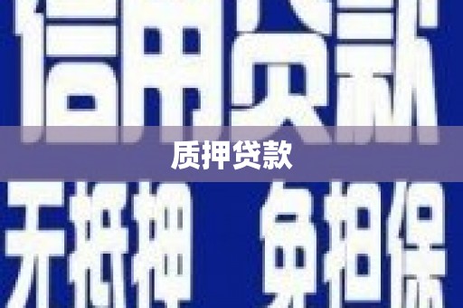 贵德质押贷款