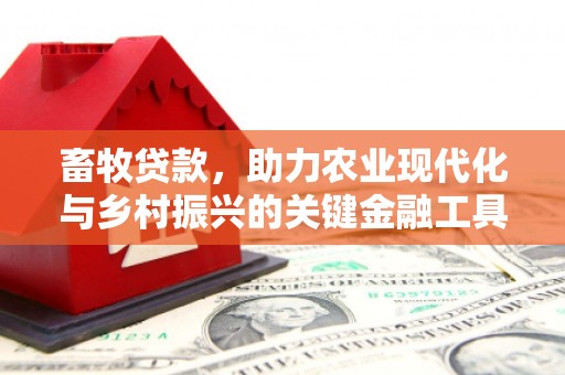贵德畜牧贷款，助力农业现代化与乡村振兴的关键金融工具