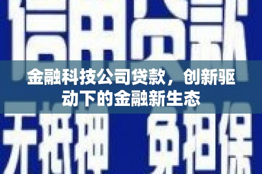 贵德金融科技公司贷款，创新驱动下的金融新生态
