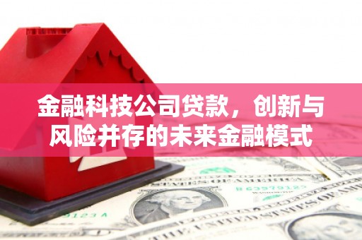 贵德金融科技公司贷款，创新与风险并存的未来金融模式