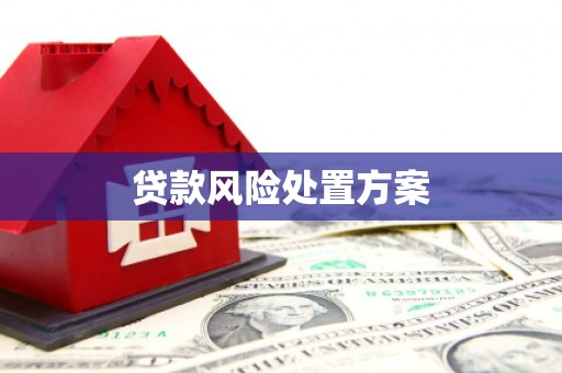 贵德贷款风险处置方案