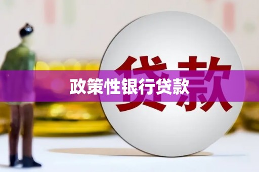 贵德政策性银行贷款