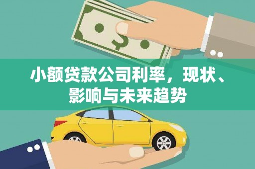 贵德小额贷款公司利率，现状、影响与未来趋势
