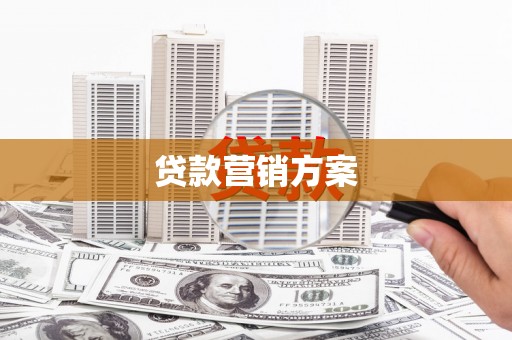 贵德贷款营销方案