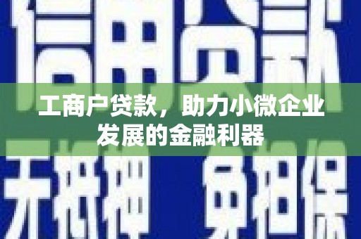 贵德工商户贷款，助力小微企业发展的金融利器