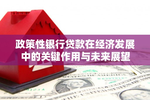 贵德政策性银行贷款在经济发展中的关键作用与未来展望