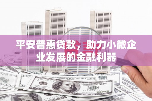 贵德平安普惠贷款，助力小微企业发展的金融利器