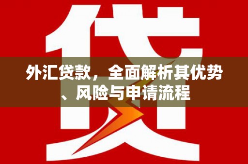 贵德外汇贷款，全面解析其优势、风险与申请流程