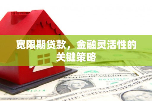 贵德宽限期贷款，金融灵活性的关键策略