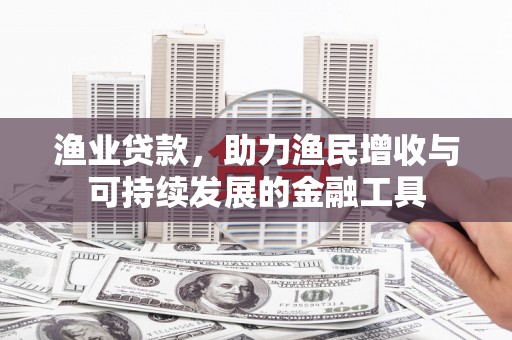 贵德渔业贷款，助力渔民增收与可持续发展的金融工具