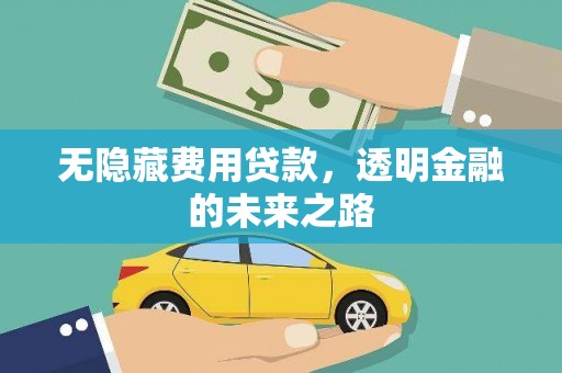 贵德无隐藏费用贷款，透明金融的未来之路