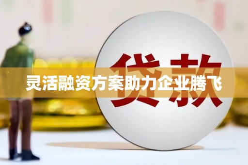 贵德灵活融资方案助力企业腾飞