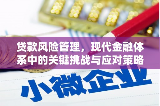 贵德贷款风险管理，现代金融体系中的关键挑战与应对策略