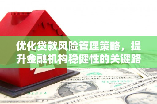 贵德优化贷款风险管理策略，提升金融机构稳健性的关键路径