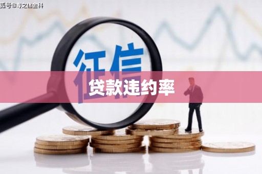 贵德贷款违约率