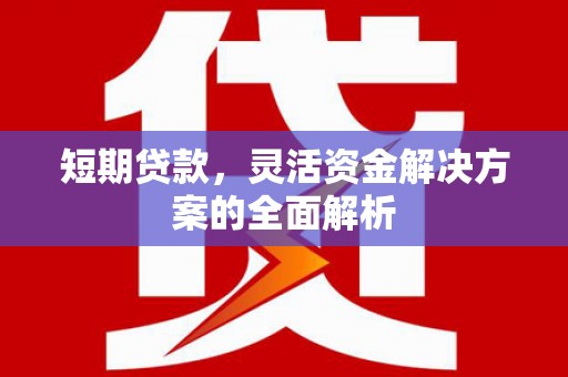 贵德短期贷款，灵活资金解决方案的全面解析