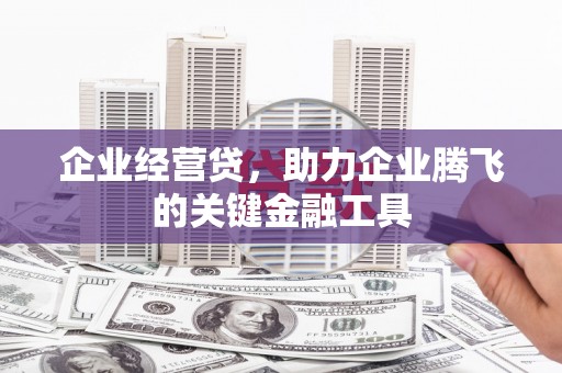 贵德企业经营贷，助力企业腾飞的关键金融工具