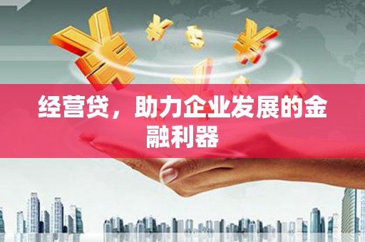 贵德经营贷，助力企业发展的金融利器