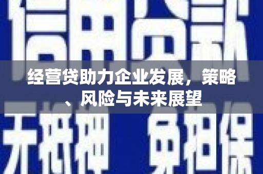贵德经营贷助力企业发展，策略、风险与未来展望
