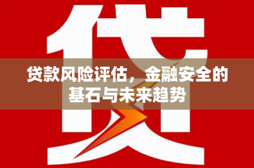 贵德贷款风险评估，金融安全的基石与未来趋势