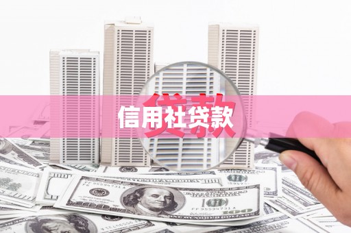 贵德信用社贷款