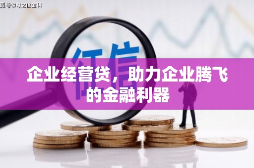 贵德企业经营贷，助力企业腾飞的金融利器