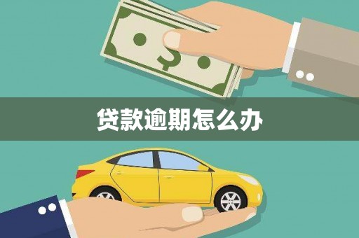 贵德贷款逾期怎么办