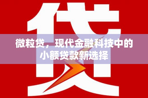 贵德微粒贷，现代金融科技中的小额贷款新选择