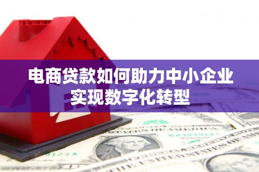 贵德电商贷款如何助力中小企业实现数字化转型