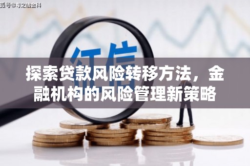贵德探索贷款风险转移方法，金融机构的风险管理新策略