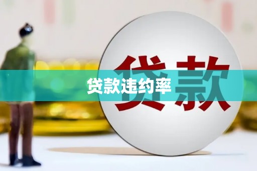 贵德贷款违约率