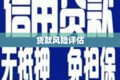 贵德贷款风险评估