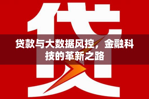 贵德贷款与大数据风控，金融科技的革新之路