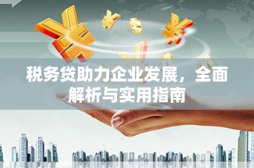 贵德税务贷助力企业发展，全面解析与实用指南