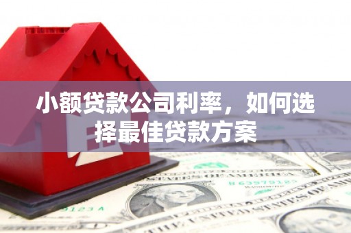 贵德小额贷款公司利率，如何选择最佳贷款方案
