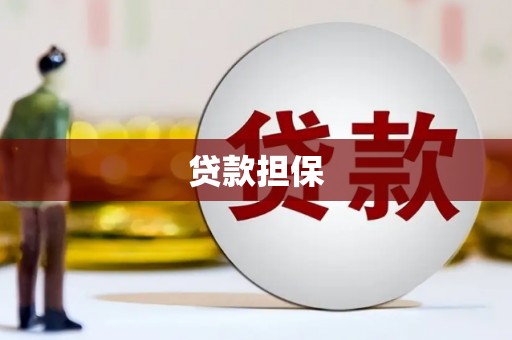 贵德贷款担保
