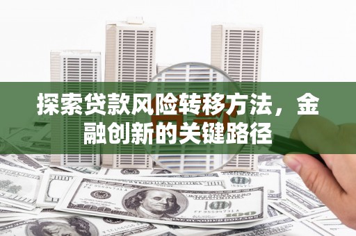 贵德探索贷款风险转移方法，金融创新的关键路径