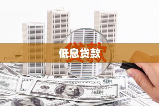 贵德低息贷款