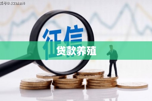 贵德贷款养殖