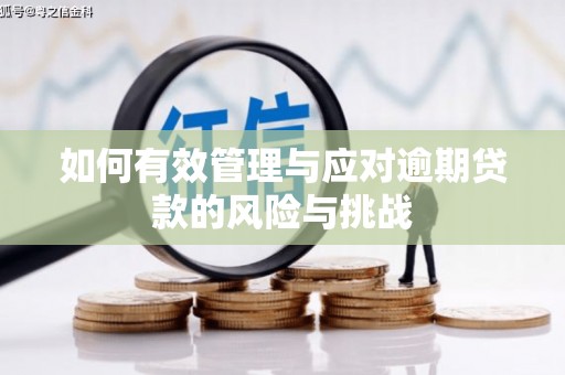 贵德如何有效管理与应对逾期贷款的风险与挑战