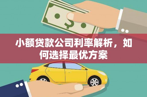 贵德小额贷款公司利率解析，如何选择最优方案